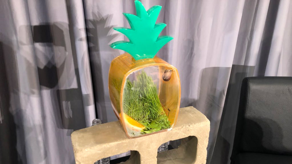 Gary the snail